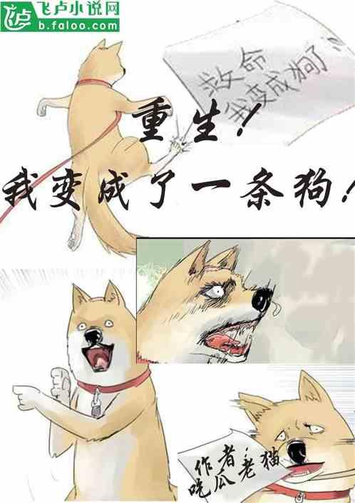 今日吃瓜小说大全,揭秘娱乐圈幕后故事，带你领略虚构世界的真实魅力